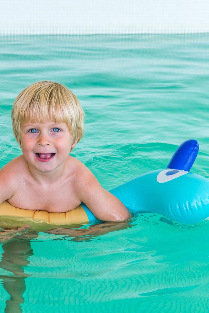 Noodle Friends - Giraffe